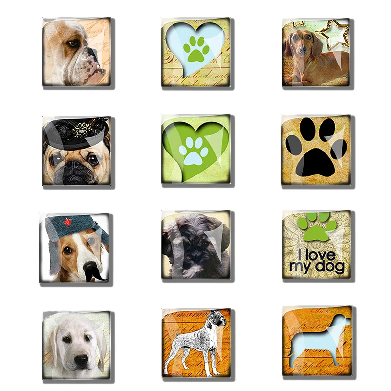 Mini Square Refrigerator Magnetic Holder  Dog Stickers  Luminous Glass Dome  Crystal Decor 30MM Custom