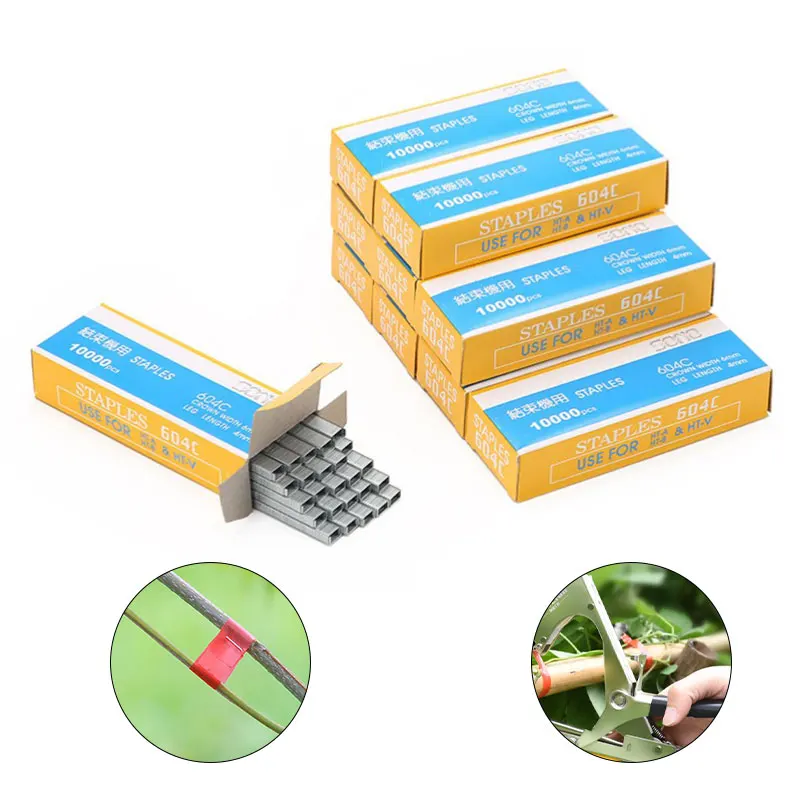 10000 Staple pin Branch Bind Stem binder nail Tapetool Tapener Plant Connect