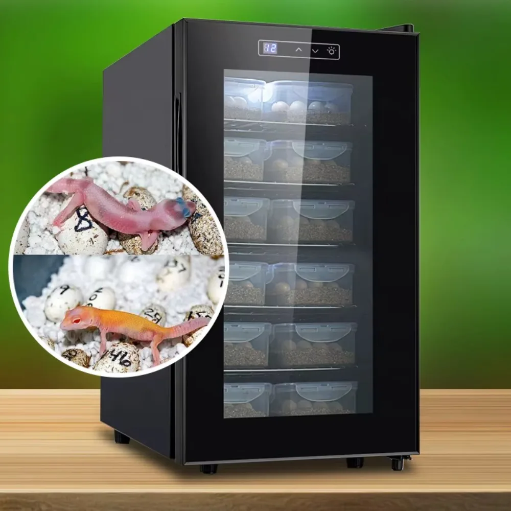 OEM custom egg incubators suitable for animal and reptile incubation.