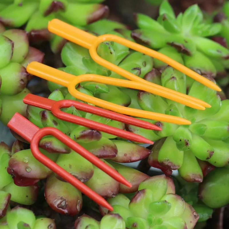 السائبة حزمة مصنع الجذعية المثبت 50/100/150/200 قطعة حديقة الفراولة زراعة شوكة البطيخ تحديد دعامة تثبيت مشبك للبستنة #2