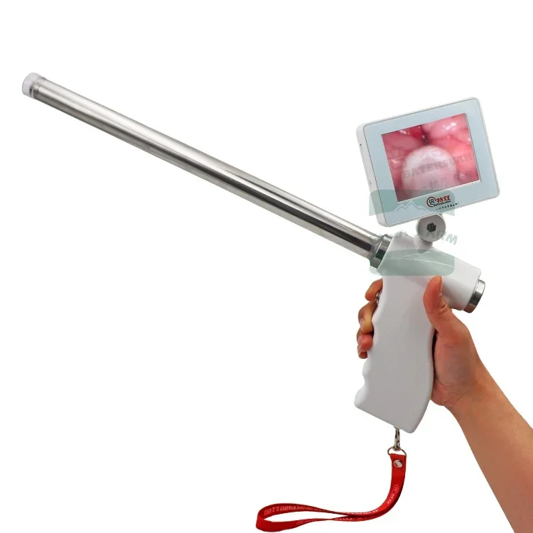 dog animal visible insemination tool scree AI equipment artificial insemination endoscope