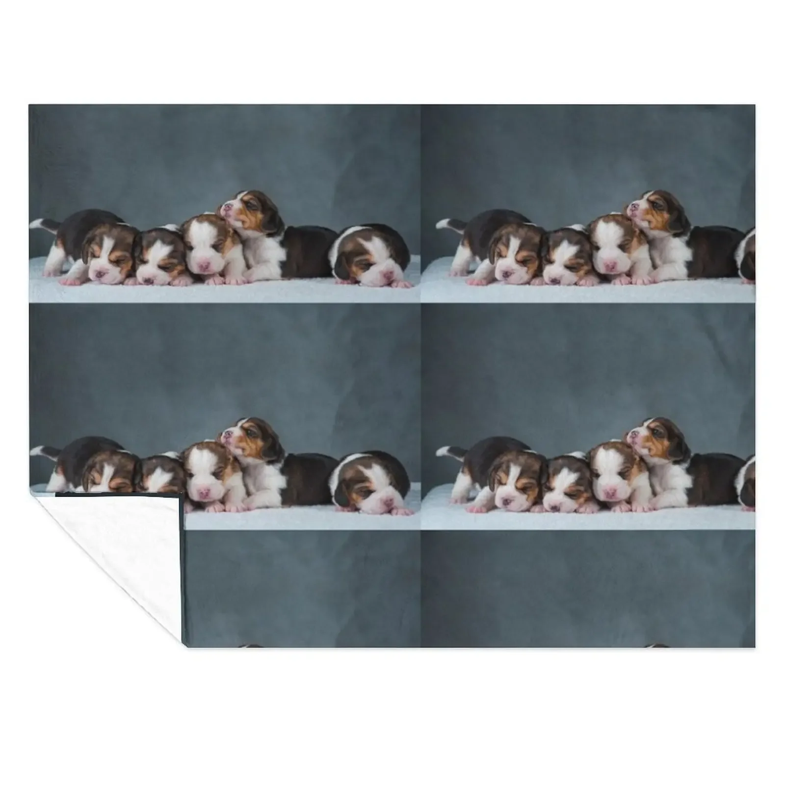 

Cute newborn beagle puppies Throw Blanket Bed covers Hairy Luxury Thicken anime Blankets