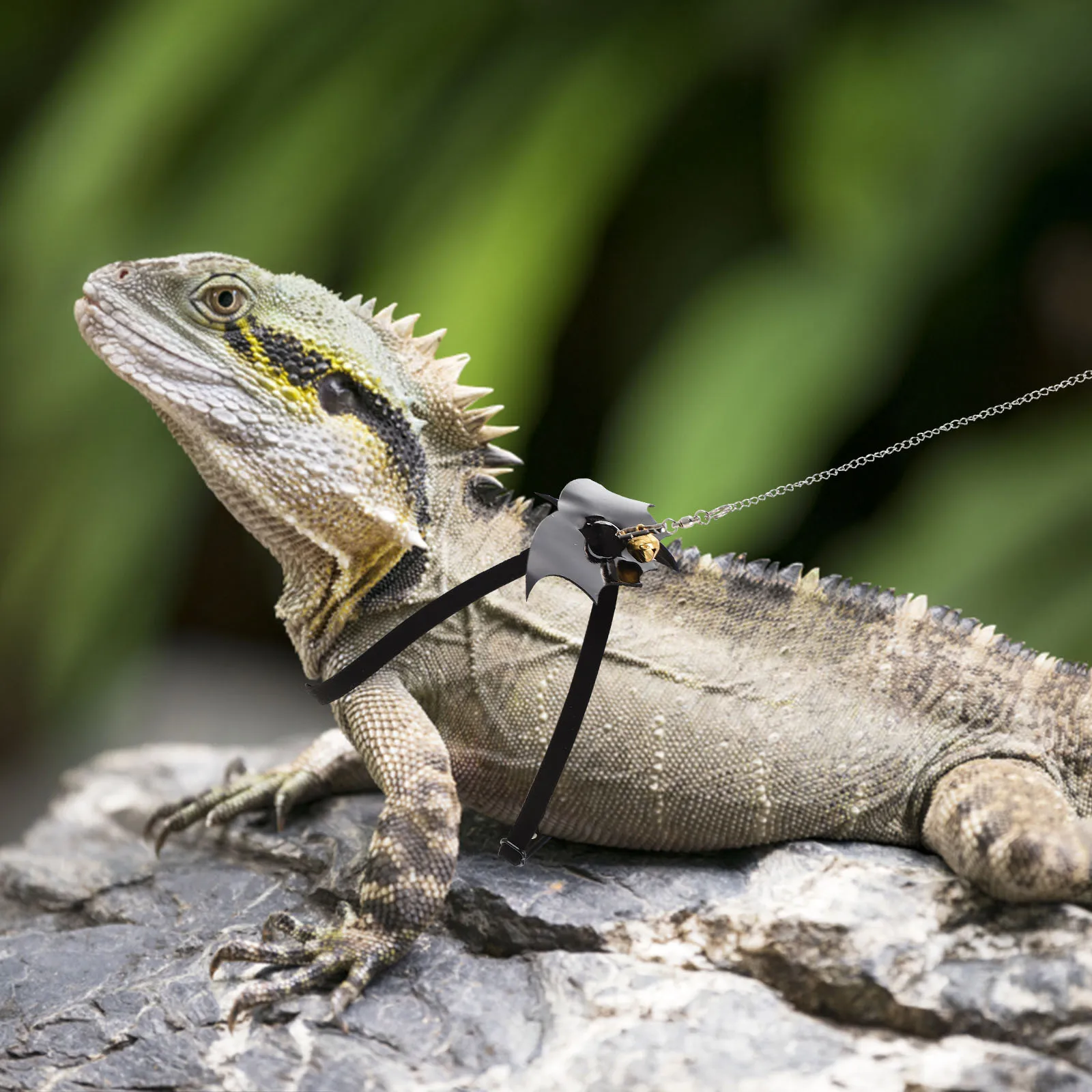 

Lizard Leash Bearded Dragon Harness Walking Rope Gecko Kit Reptile Pet Traction Suitable Lightweight Compact Design Store Carry