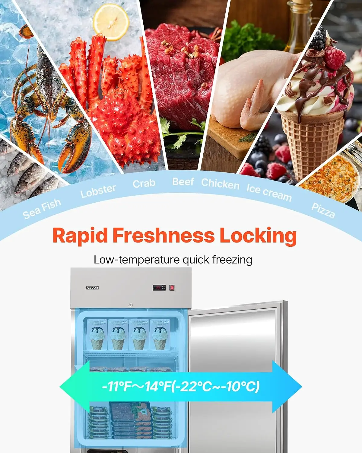 Commercial Reach-In Freezer 29