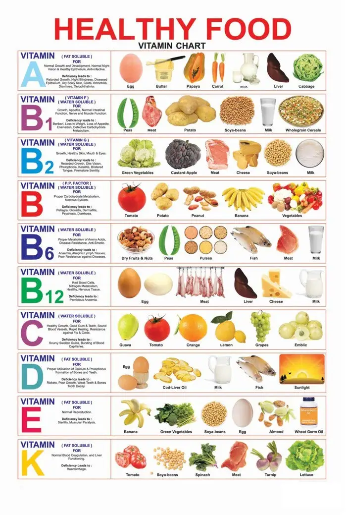 MALLONY Healthy Nutritious Food Vitamin Chart Poster 36