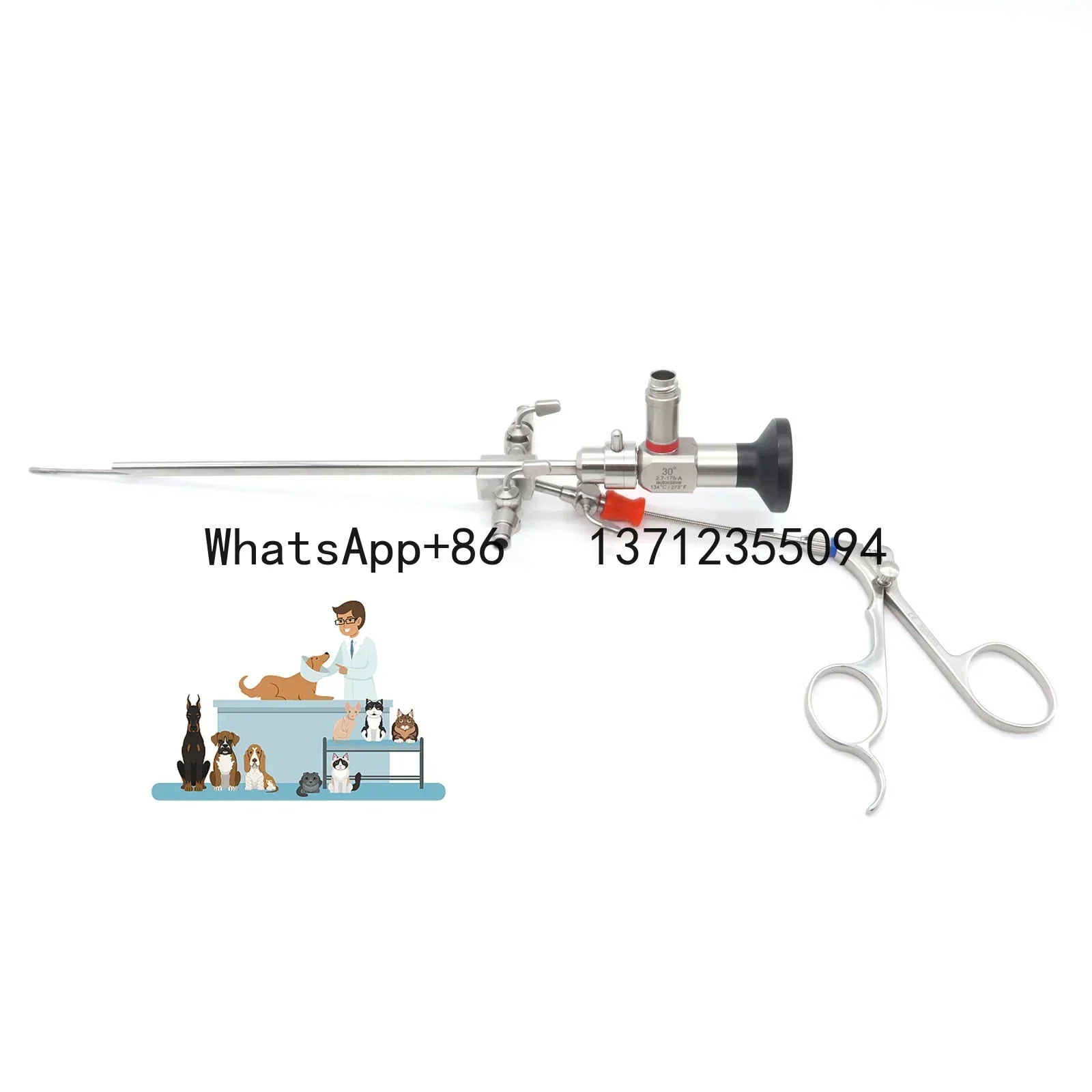 VeterinäR-Endoskopi…