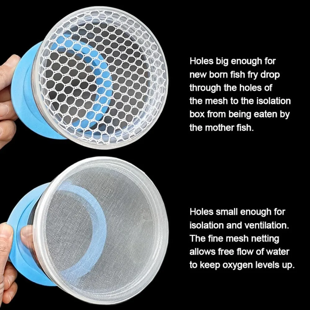 Thumbnail 4 - #68 Compare Fish Feeders Before You Buy