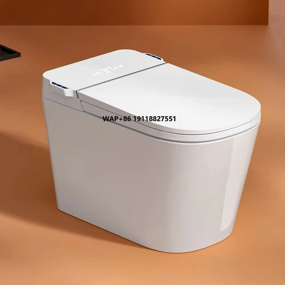 

Ceramic One Piece Siphon Intelligent Porcelain Wc Floor Mounted Night Light Smart Wc Toilet With Seat Heating