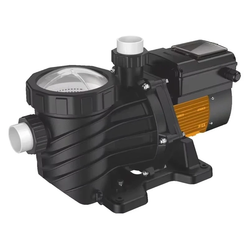 1Hp Variable Frequency Synchronous Motor Silent Swimming Pool Electric Water Pump Energy Saving