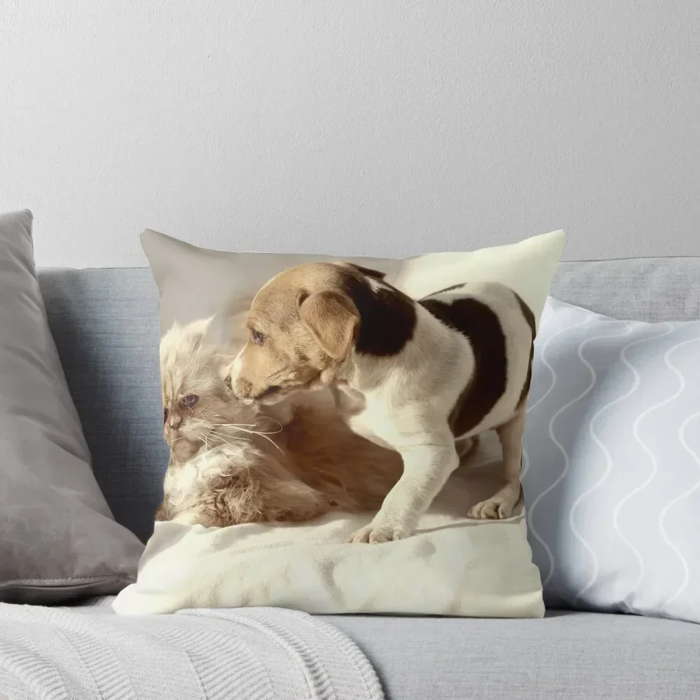 

What on EARTH makes you think I want to be your friend Throw Pillow Cusions Cover pillow