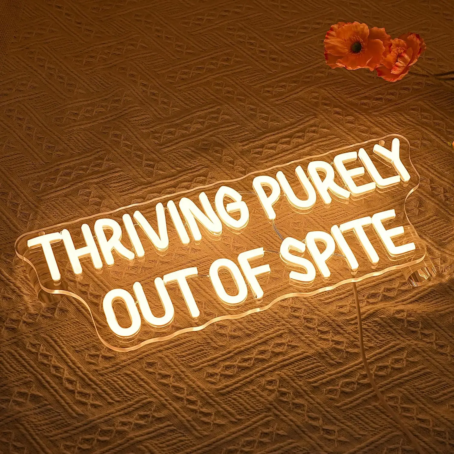 Enseigne néon LED « Thriving Purely Out Of Spite », lampe néon USB blanc chaud, décoration murale esthétique pour chambre, salon, bureau, bar, studio, cadeau