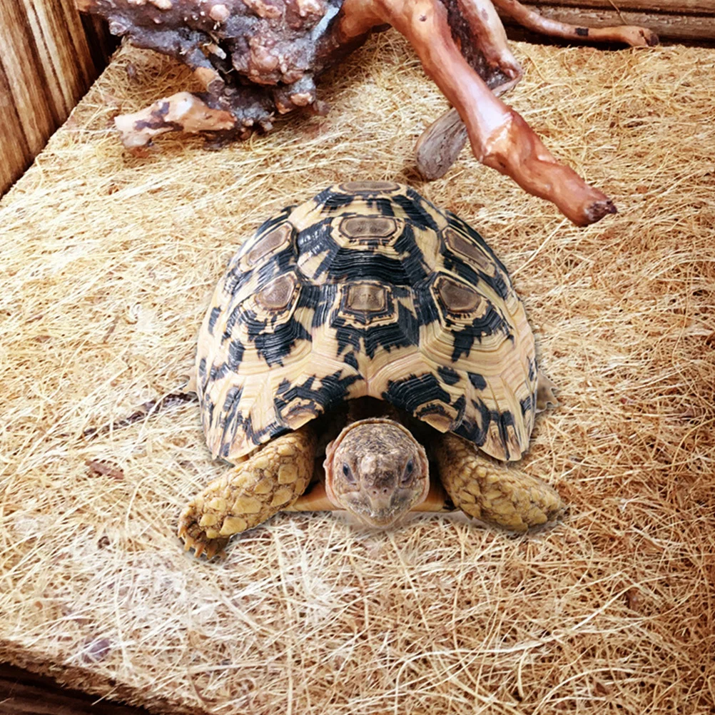 

2Pcs Coconut Fiber Mat Natural Breathable Reptile Pet Bedding Liner for Tortoise Habitat Cleaner Anti-Parasitic Brown 40x40cm