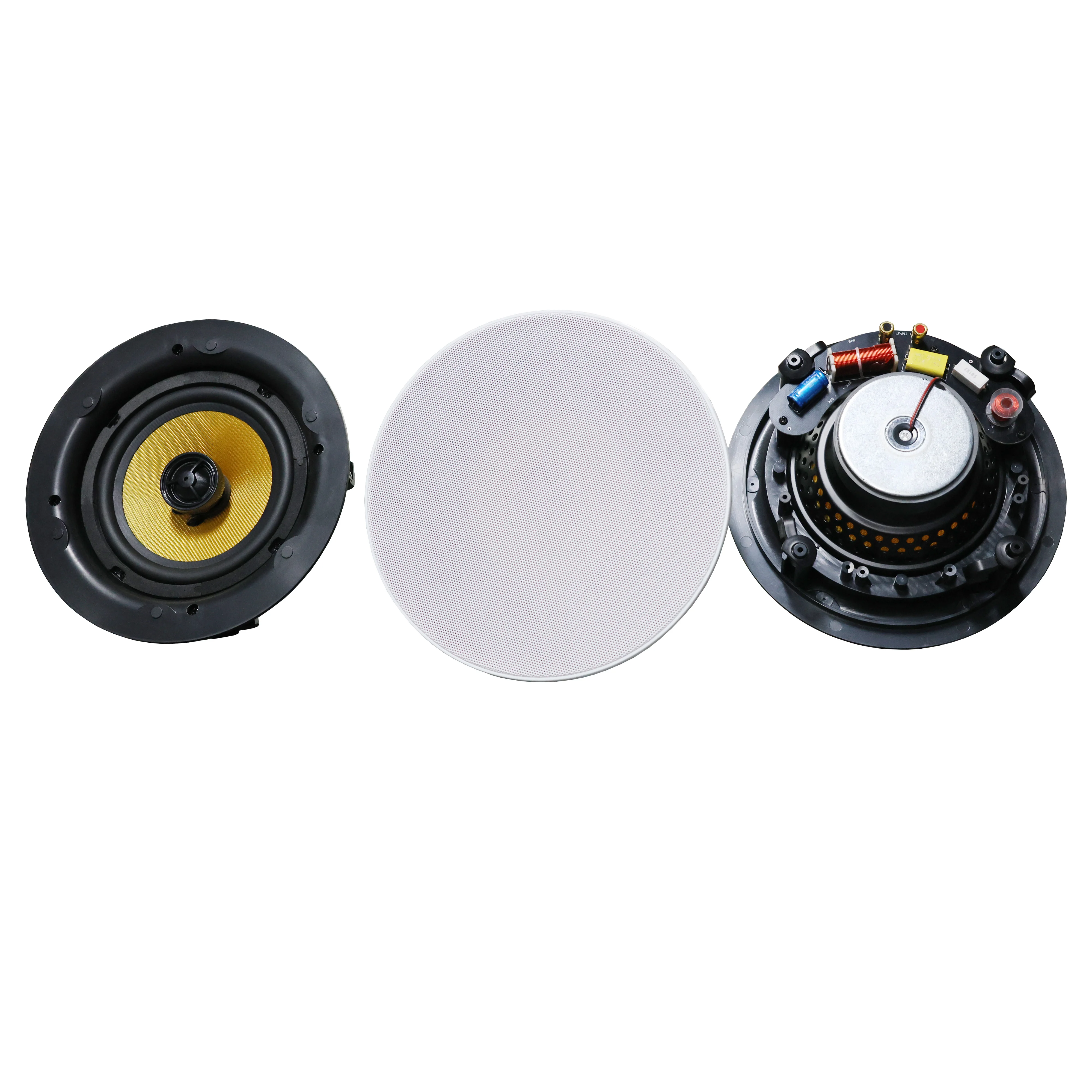 8-ohm Conference Room 30/50/80W Ceiling Speaker with Separate Coaxial Speaker Unit