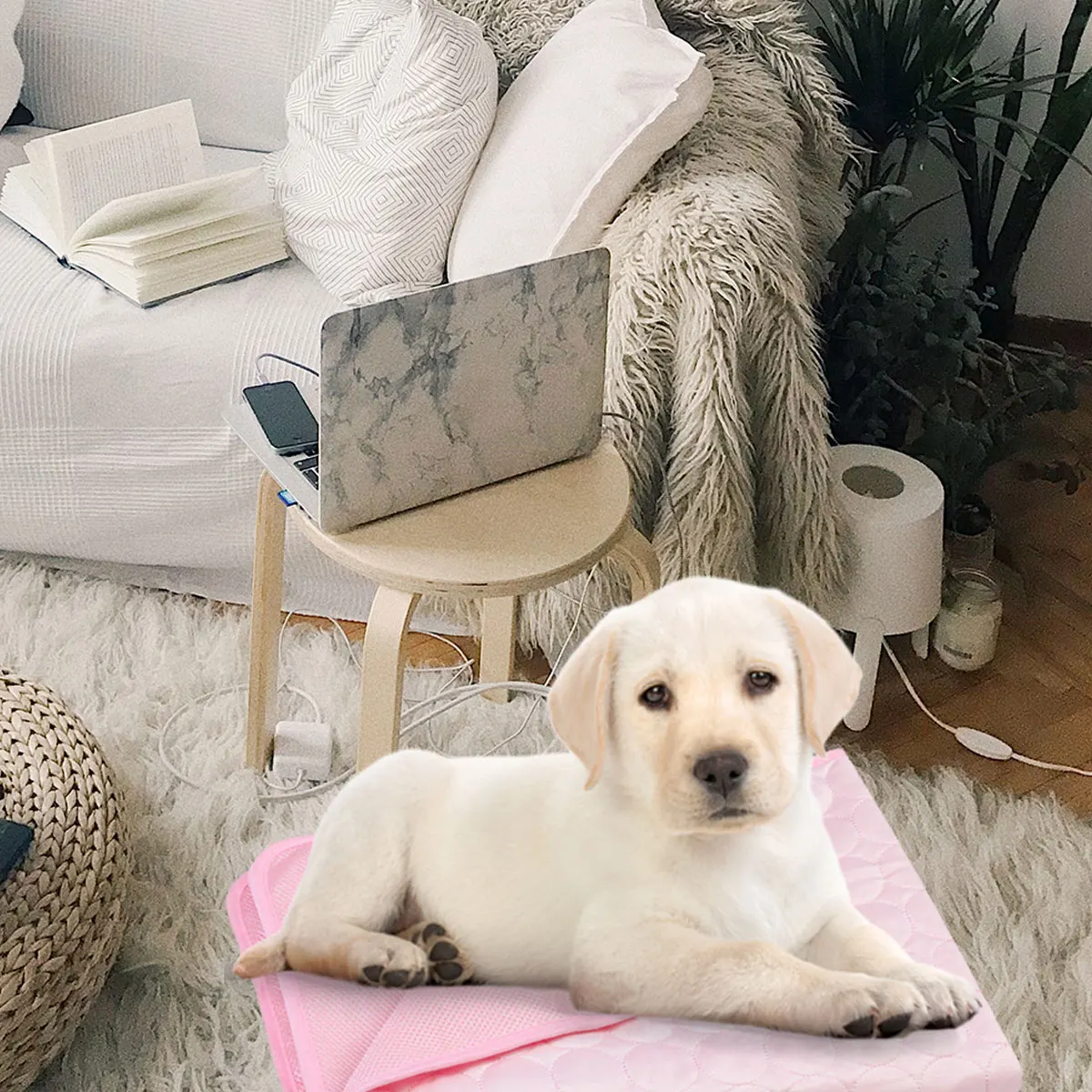 

Pet Ice Mat Cooling Bed Summer Mat for Cats Dogs Durable Floor Clean Tidy Dog Kennel Pad Lightweight Breathable