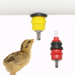 10 pcs Quail Pigeon Bird Waterer Chicken Waterer Nipple Drinkers  Nipples Automatic Water Dispenser Poultry Farming Equipment