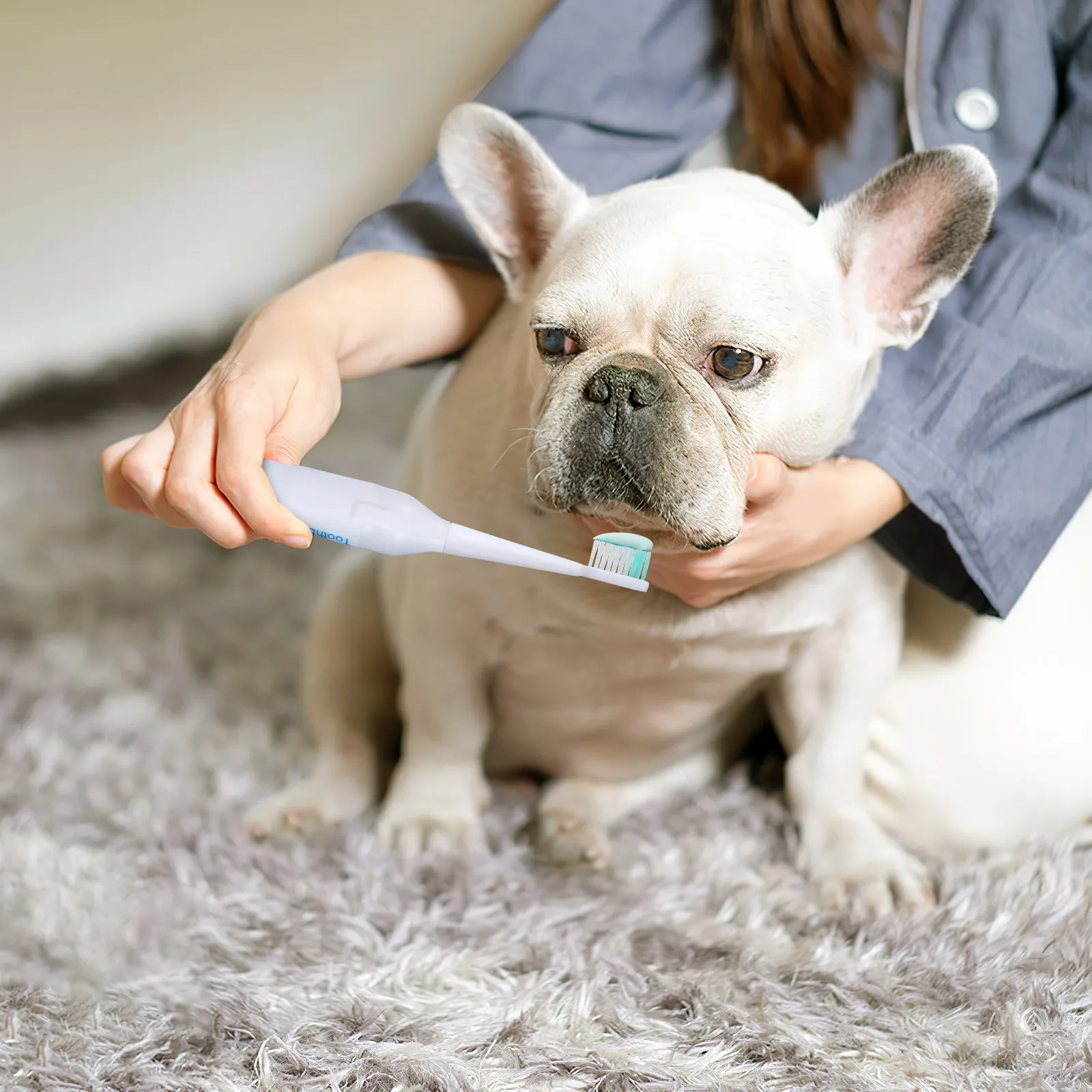 1 cepillo de dientes eléctrico para mascotas, limpieza ultrasónica, suave para los dientes y las encías, impermeable, portátil, cepillo dental de viaje para perros y gatos