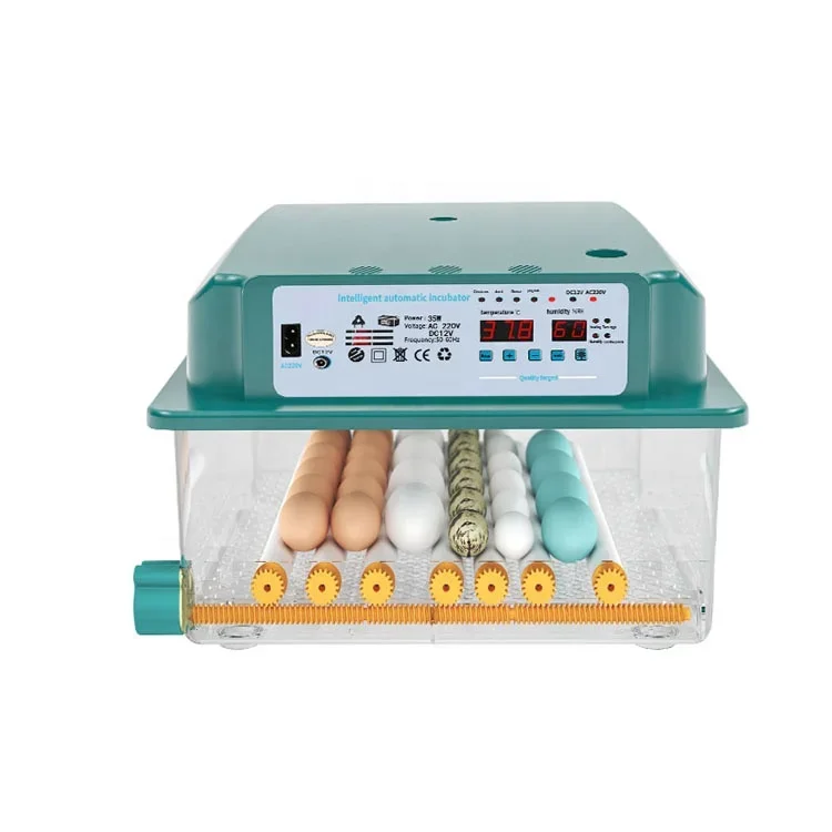 Newest Mini Chicken Egg Incubators for 36eggs Incubator Hatching Machine Full Automatic with Roller Tray