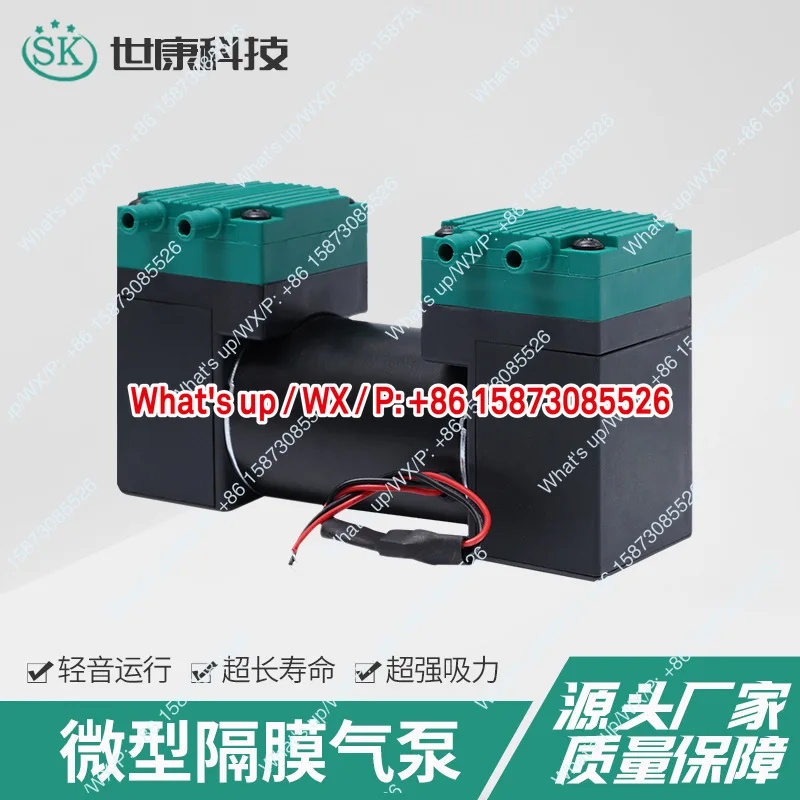 2AP51 oil-free vacuum negative pressure suction pump DC double headed diaphragm pump