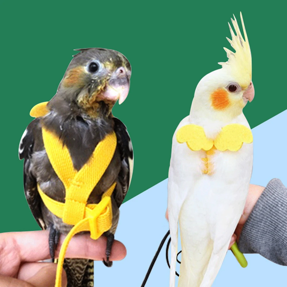Random Adjustable Parrot Bird Harness Leash Set Anti-bite Training Harness Parrots Outdoor Flying Rope Cockatiel Bird Supplies
