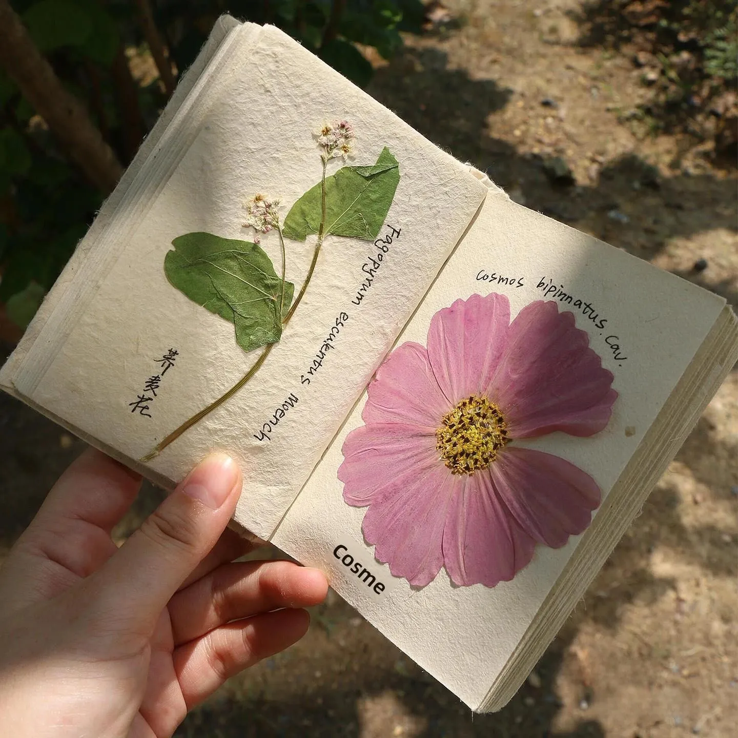 creative-handmade-plant-specimen-collection-notebook-floral-preservation-storage-book-journal-paper-craft-organizer