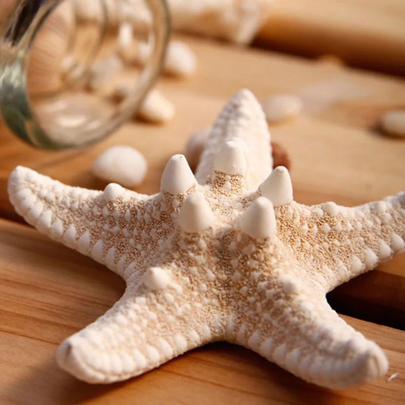 Natural Starfish Hair Clips Beach Holiday Dressing Hair Accessories Headwear for Women and Girls Mermaid Hairpin Gifts