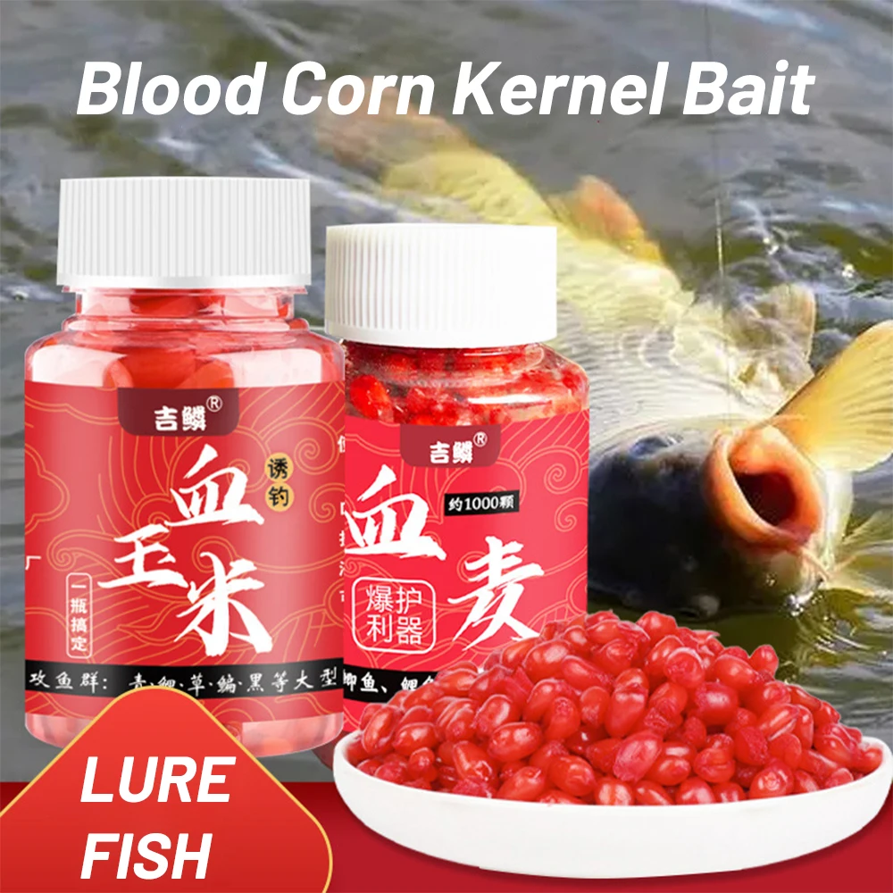 1000 Pcs Granular Fishing Bait Wheat Corn Kernels Hook Up pellet Bait Grass Carp Fishing Trout Fishing Accessories Sea ​​Fishing