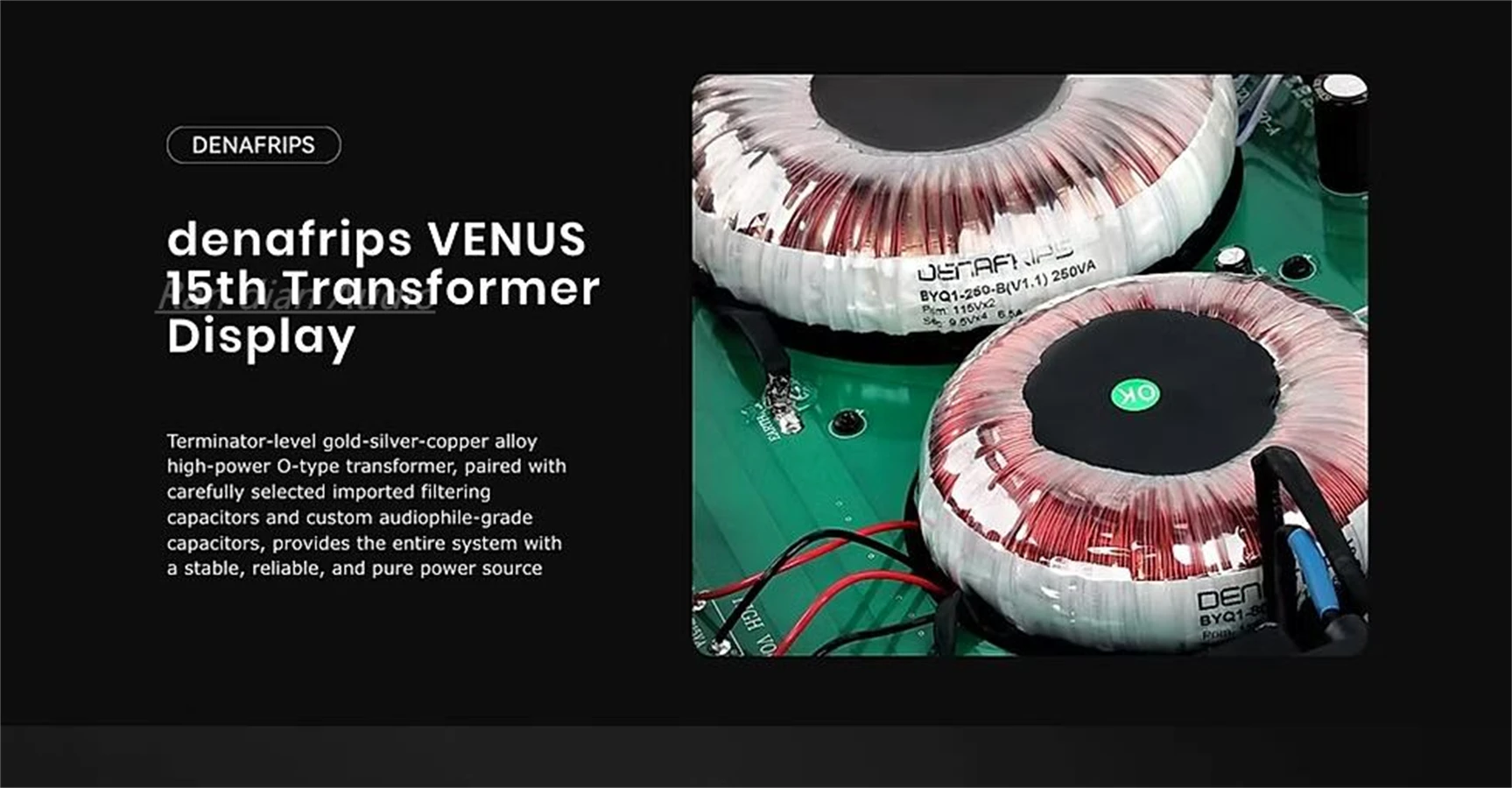 2025 Upgrade DENAFRIPS VENUS15th Digital Audio HiFi Decoder DAC,RCA ,XLR.24Bits/192KHZ.R2R+DSD Architecture.DSD1024, PCM1536