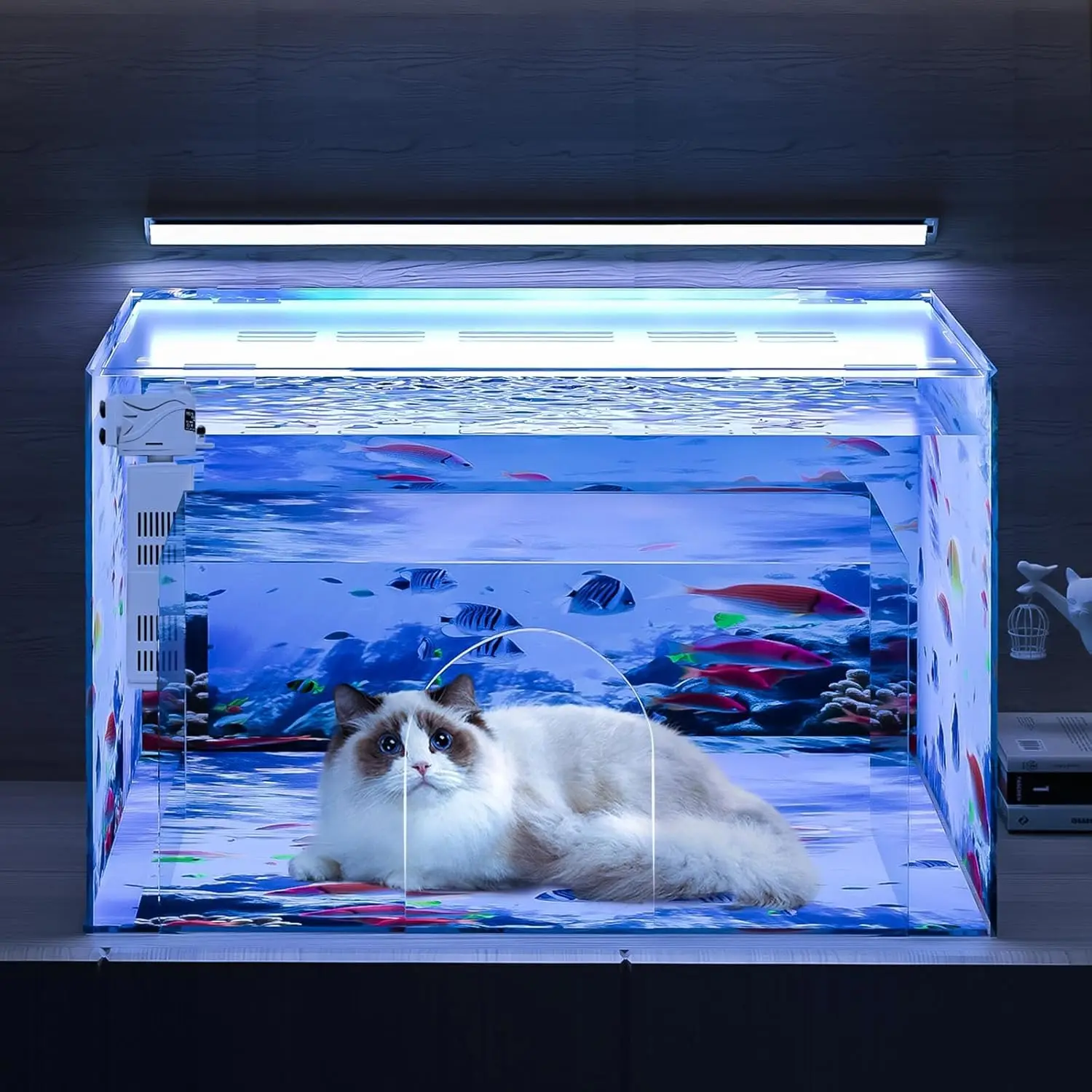حوض السمك للقطط غرفة نوم غلوب وجبة خفيفة حوض السمك والاكسسوارات داخلي استوائي كامل رخيصة منزل عقد خزان الأسماك للأطفال