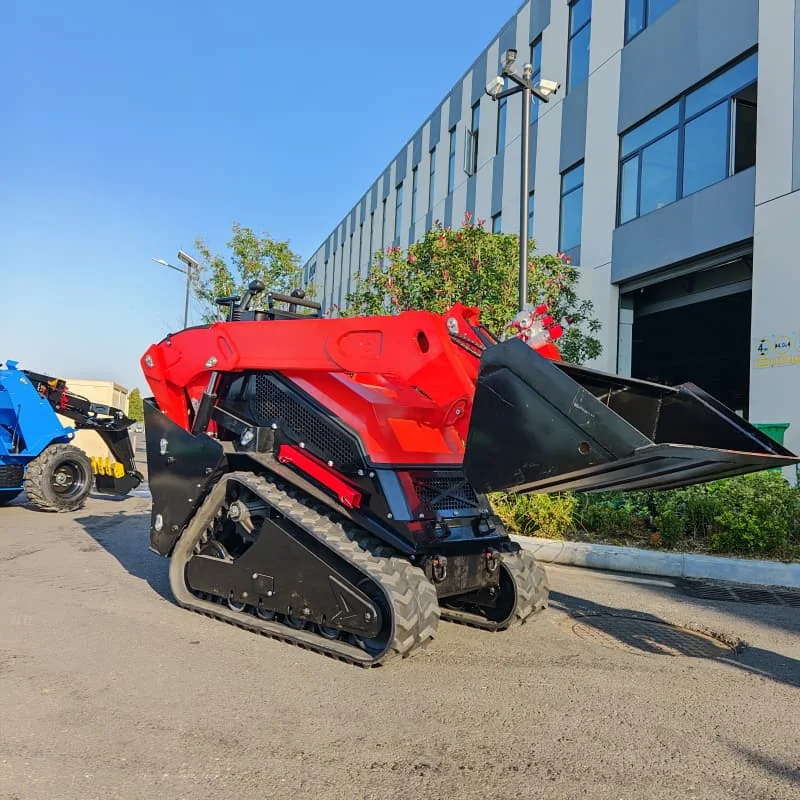 High Load Customized Skid Steer Loader - 350kg Capacity Hydraulic System Construction Farm Use
