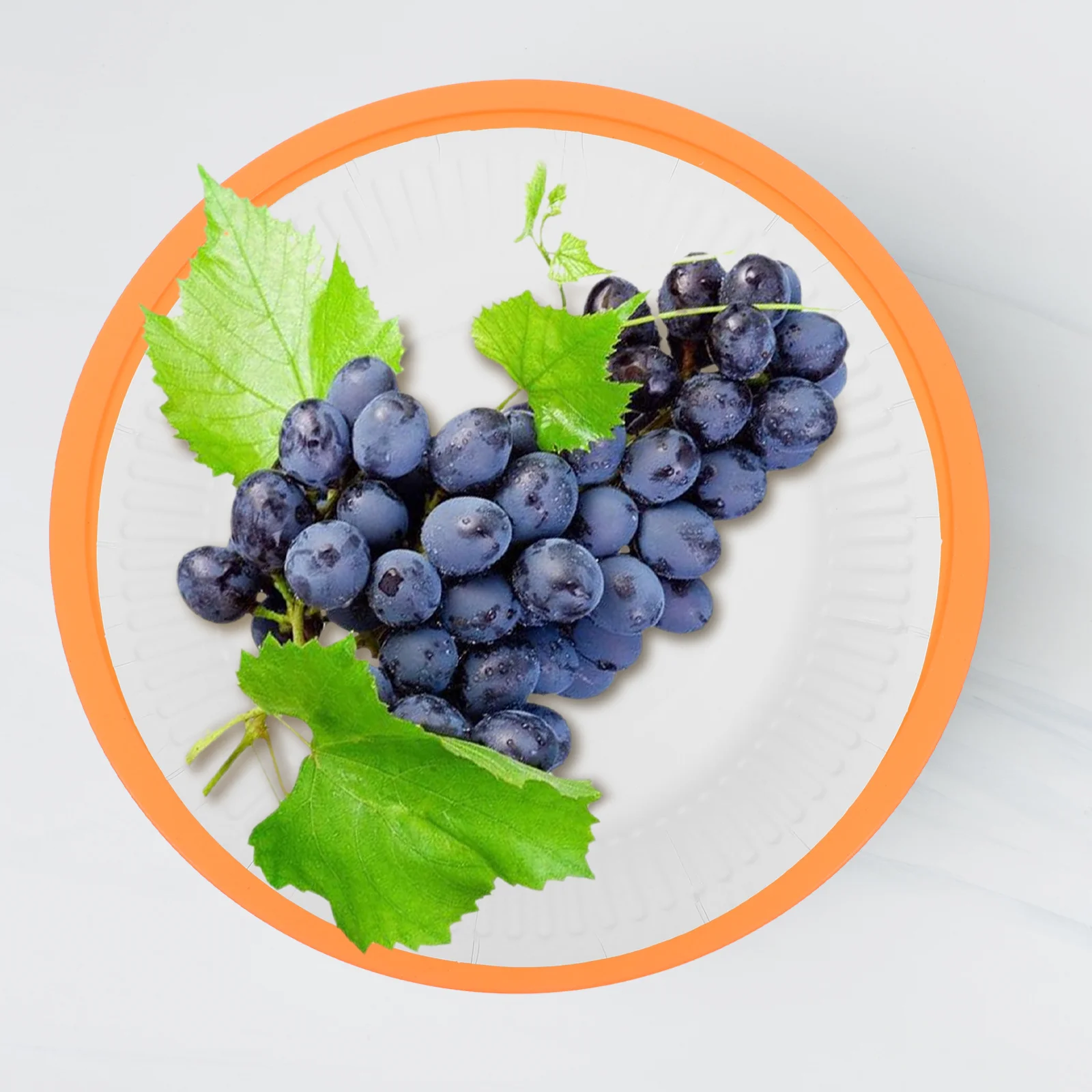 

8Pcs Paper Plate Holders Sturdy 9-Inch Capacity for Picnic Bbq Party Camping Trips Multi-Functional Food Plate Support Holder