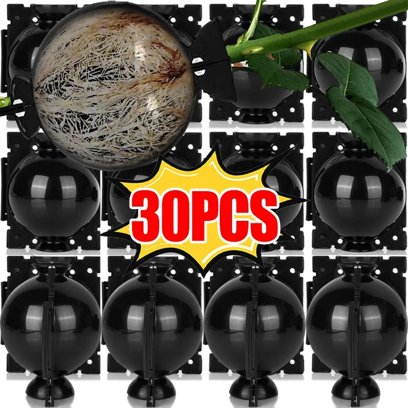 5/30 قطعة ارتفاع ضغط انتشار الجذر تزايد صندوق النبات تأصيل الكرة حديقة قابلة لإعادة الاستخدام قطع تطعيم الكرة معدات تربية