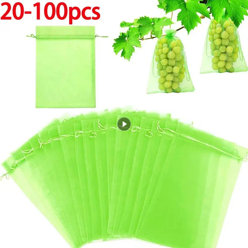 20-100pcs Strawberry Grapes Fruit Grow Bags Netting Mesh Vegetable Plant Protection Bags For Pest Control Anti-Bird Garden Tools