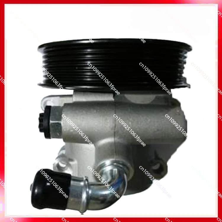 

2S653A696AA Power Steering Pump Auto Parts Autoparts