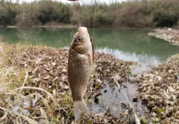 

MARK4 7inch 295mm Wheelbase Carbon Fiber Frame 5mm Arm 2807 1300KV Brushless Motor 7inch propeller For FPV 7" Long Range Drone