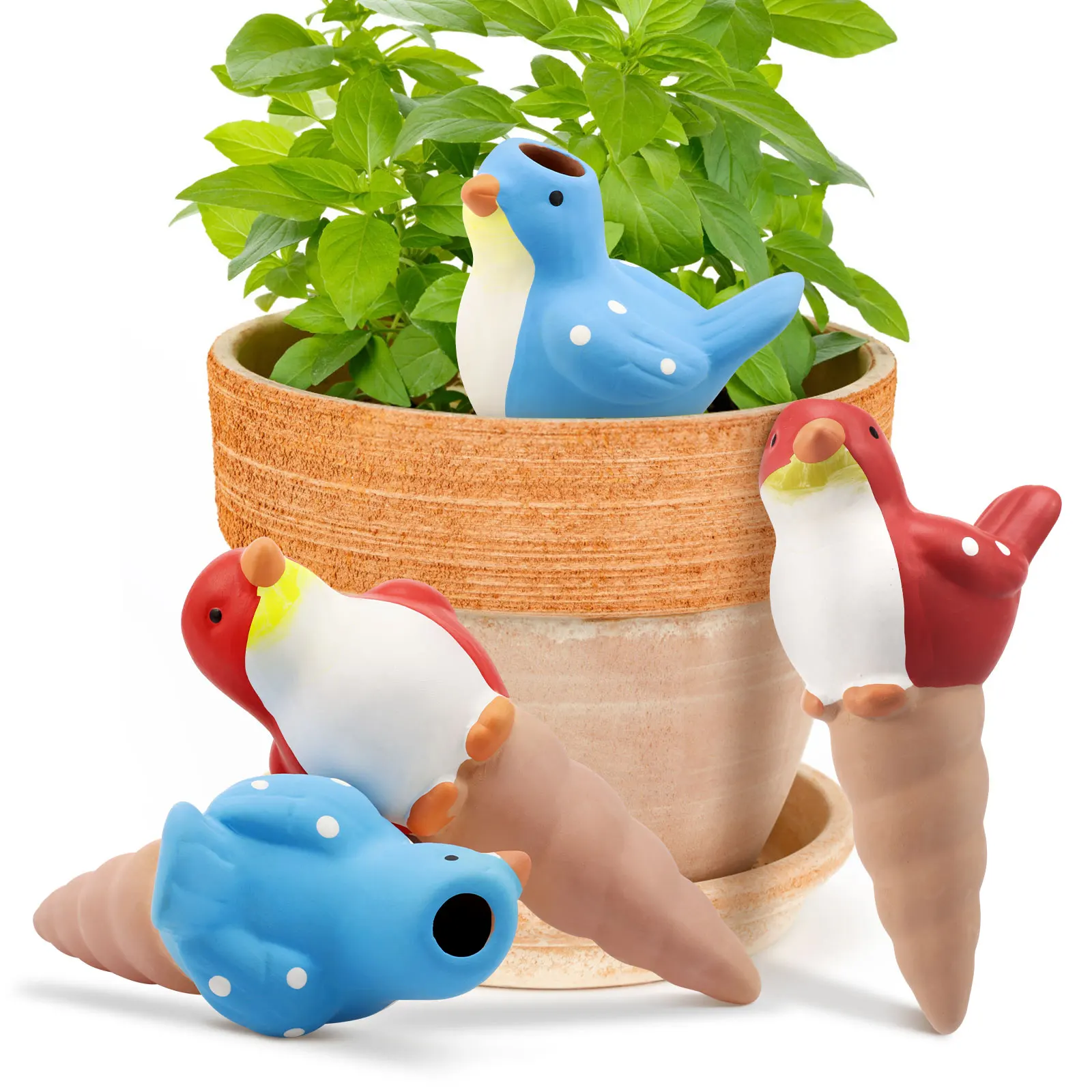 #6 Compare Watering Globes Before You Buy