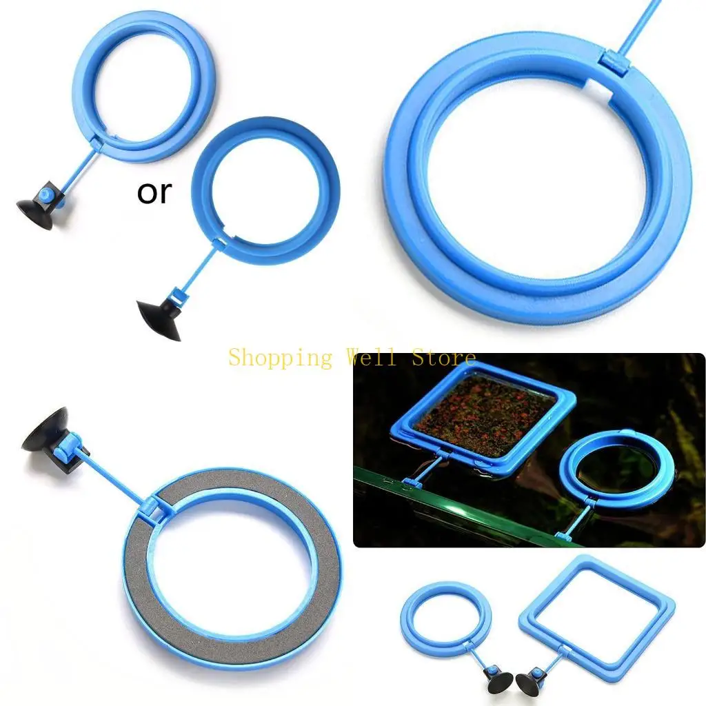 KX4B Betta Feed Ring Vòng tròn Floating