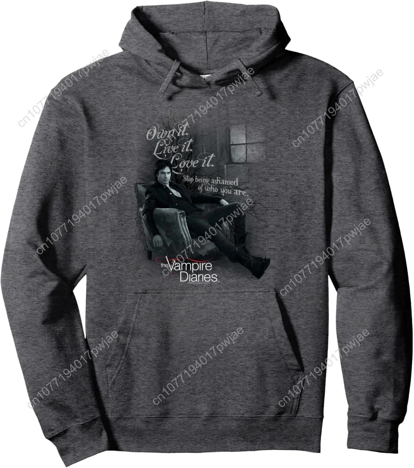 

Warner Bros. Vampire Diaries Be Yourself Unisex-Adults Grey Small Hoodie