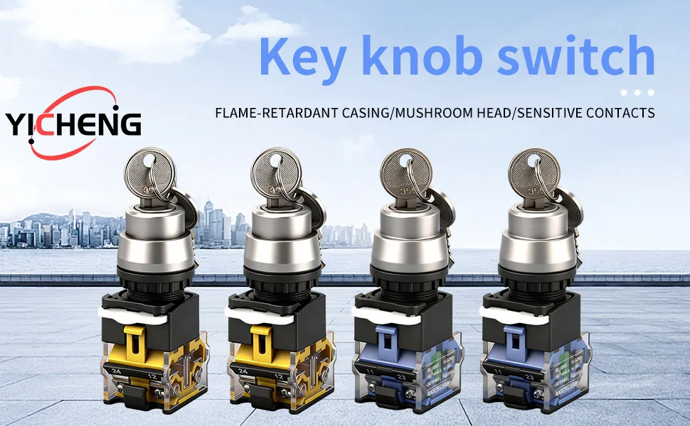 10 Stück sichere und langlebige 22-mm-Schlüsselschalter mit 2 Gängen/3 Gängen, selbstsperrend/momentan – Detail 1