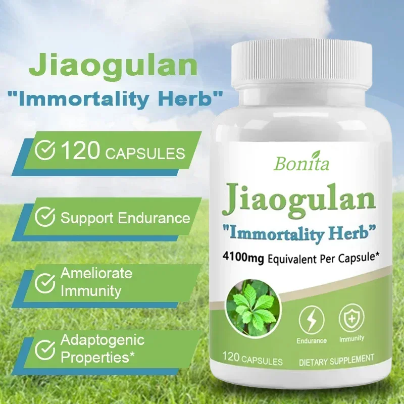 Jiaogulan 4100 Mg 120 Cápsulas Vegetarianas ( Y Sin Gluten) Jiaogulan - Resistencia Y Resistencia, Sistema Inmunológico