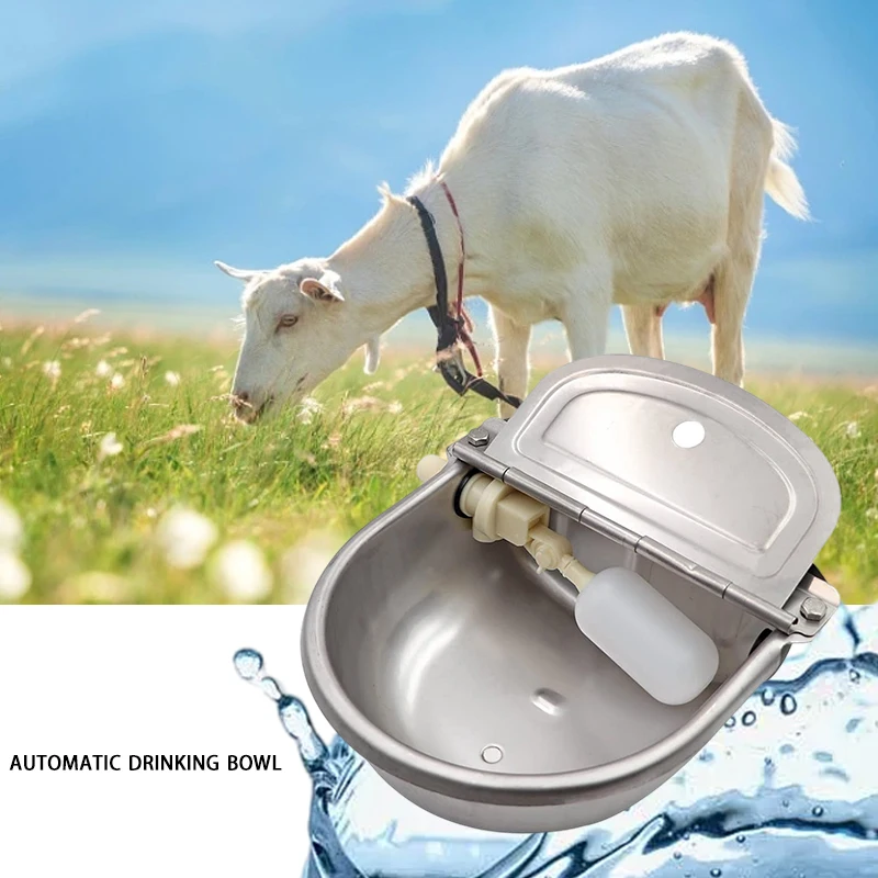 304 Stainless Steel With Drain Hole Drink Automatic Float Farming Trough Horse Cow Water Bowl Supplies Sheep Dog Pet Goat Cattle