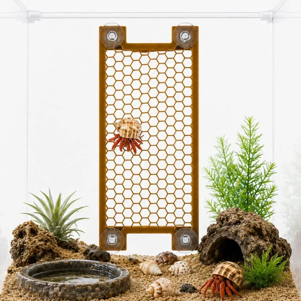 PETG Material Hermit Crab Climbing Toy Anti-Slip Honeycomb/Round Hole Reptile Climbing Toy Easy Installation Secure Suction Cup