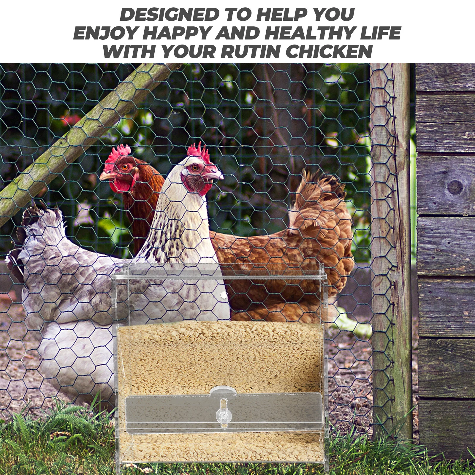 

Rutin Chicken Automatic Feeder Acrylic Clear Food Holder Durable Parrot Bird Feeding Trough Convenient Transparent Poultry Food