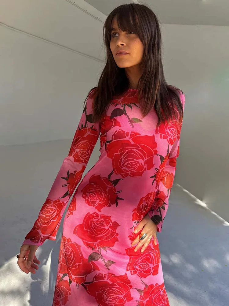 Apprabant Sheer Mesh Flowers Printed Dress Women's O-Neck Flare Sleeve Fashion Loose Casual Elegant Slim Long Dress Streetwear