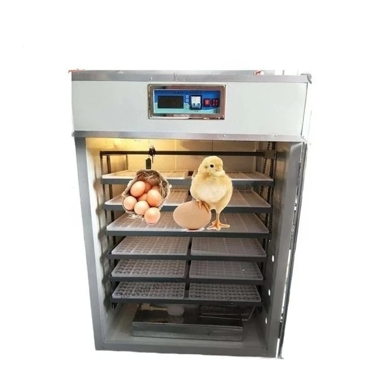 

Б/у интеллектуальный многоцелевой инкубатор для яиц, инкубатор для курицы, утки, птицы, страуса для инкубаторов, компонент основного двигателя для домашнего использования