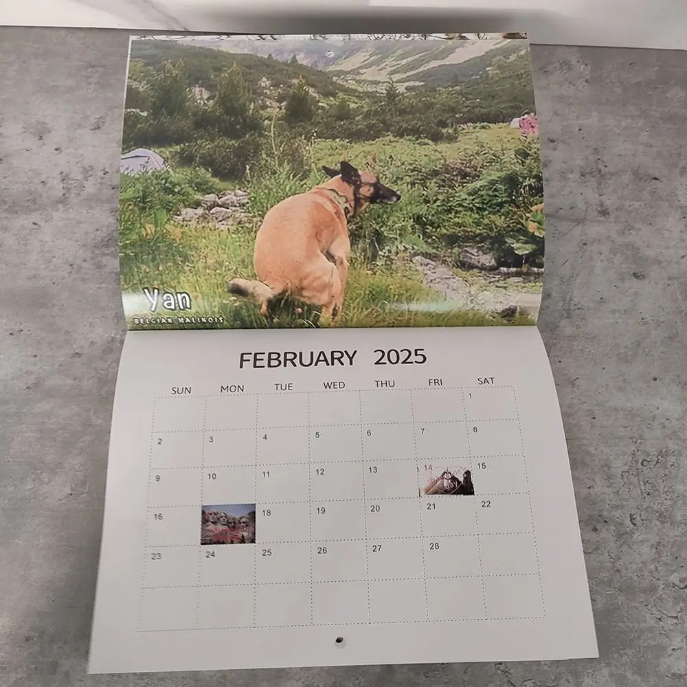 2025 Funny Dogs Pooping Calendar Daily Weekly Monthly Planner Creative Wall Calendar Funny Desktop Calendar Gift