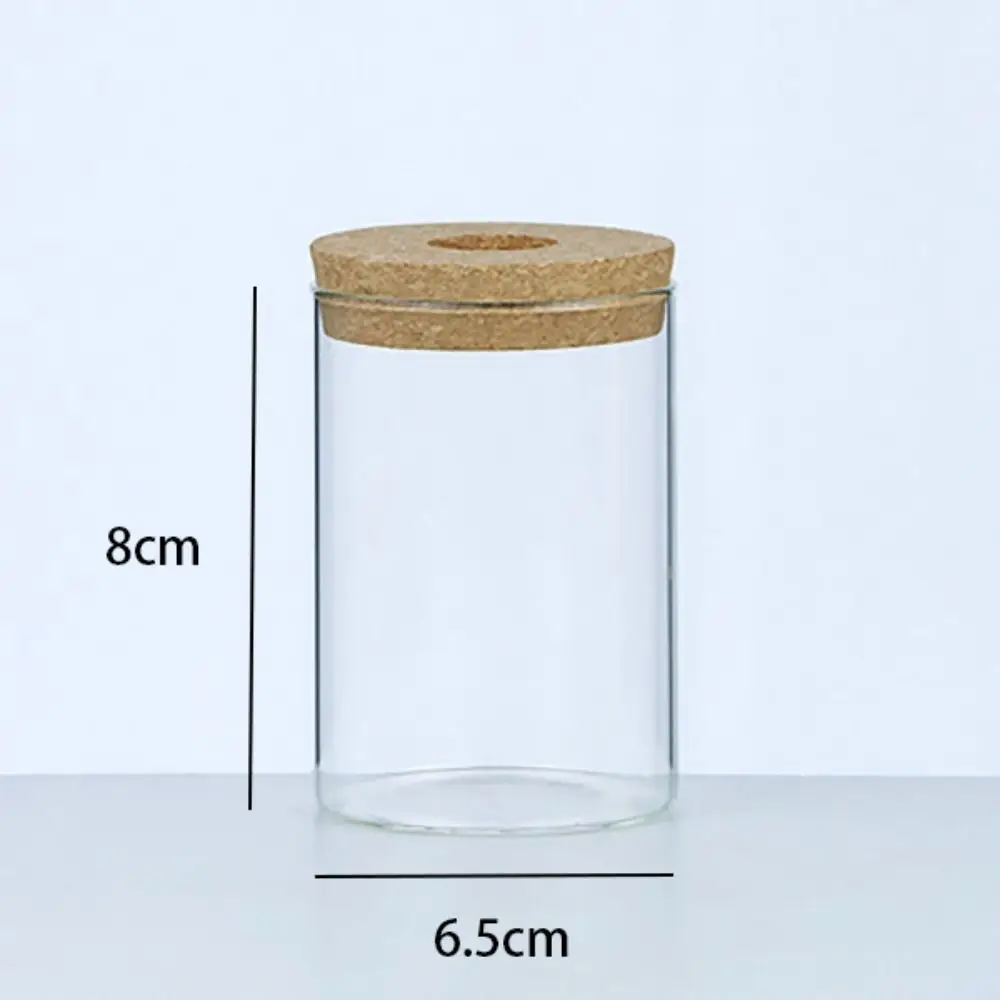 Green Plant Mini Hydroponic Flower Pot Transparent Creative Home Glass Vase Potted Soilless Terrarium