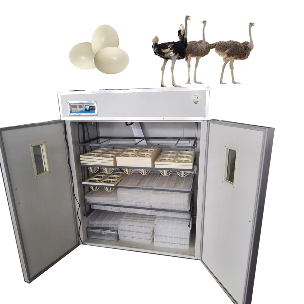 Ostrich Egg Hatching Chicken Automatic Ostrich Egg Incubator