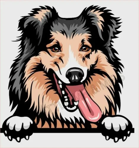 For SHETLAND SHEEPDOG Peeking Dog Breed Colour Window Wall Laptop Sticker