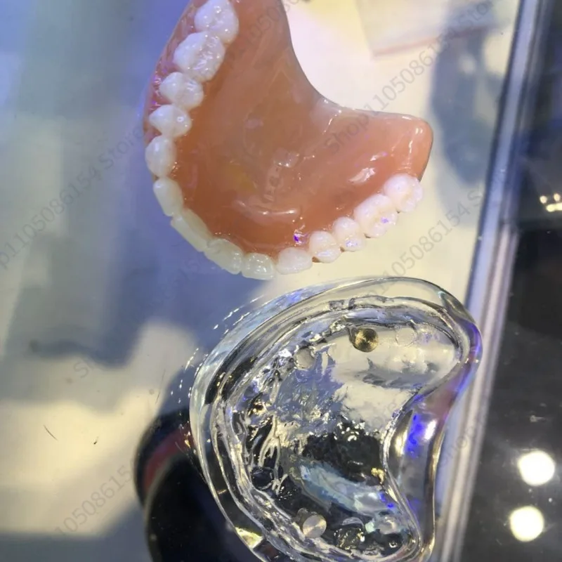 Oral complete denture model Adsorption tooth model Dental teaching Doctor-patient communication model