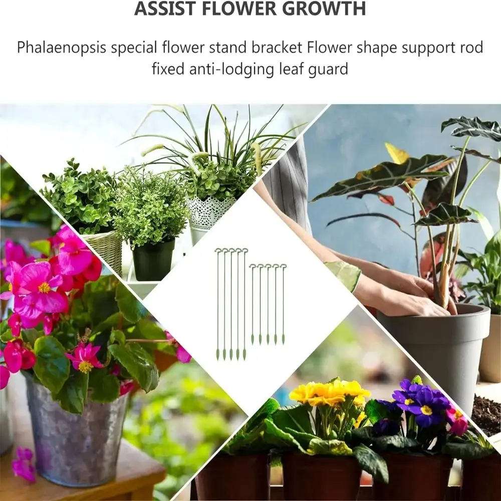 10개입 지지대 식물 지지대 말뚝 17/27/37cm 흔들림 방지 분재 고정 도구 3mm 내구성 꽃 덩굴 등반 브래킷